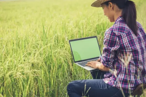Decisiones agrícolas con datos