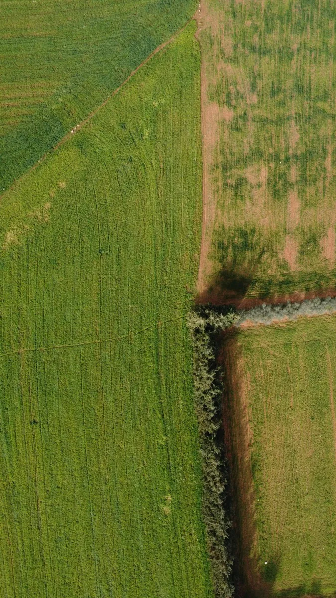 Vista aérea de parcelas con rendimientos distintos en una misma región agrícola colombiana