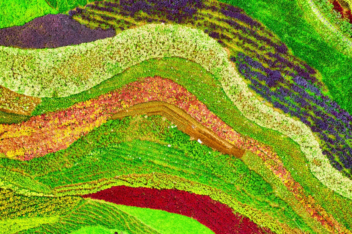 Vista aérea de cultivos colombianos con diferentes texturas y zonas de manejo