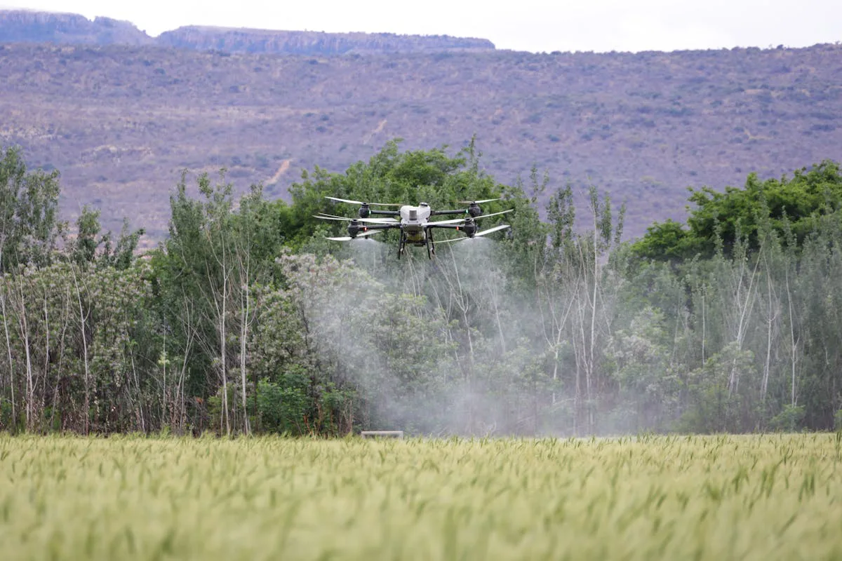 Drone agrícola fumigando un cultivo — aplicación dirigida con base en monitoreo satelital previo