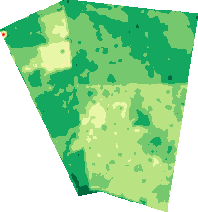 Mapa NDVI - Salud vegetal del cultivo